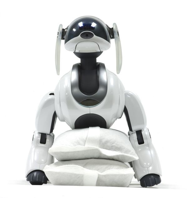 سگ رباتی آیبو